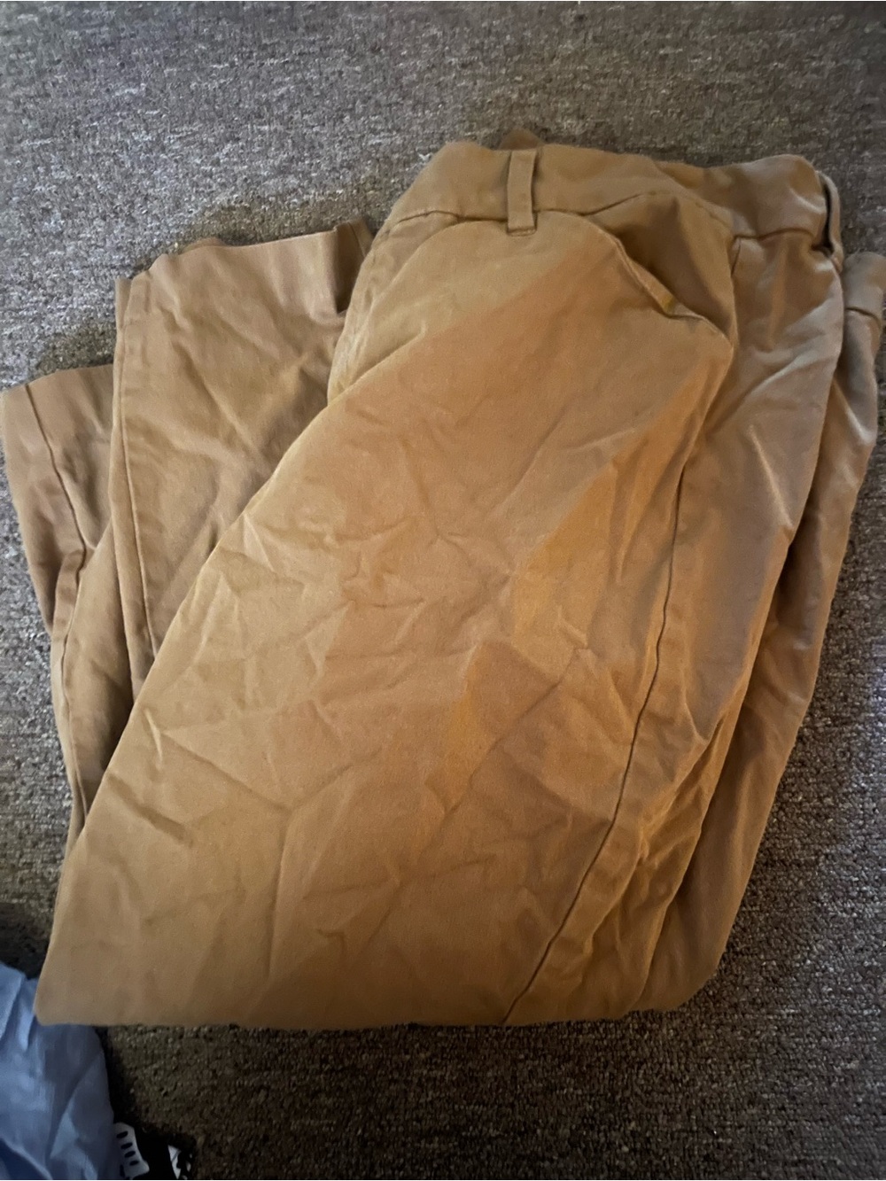 Women’s dress pants